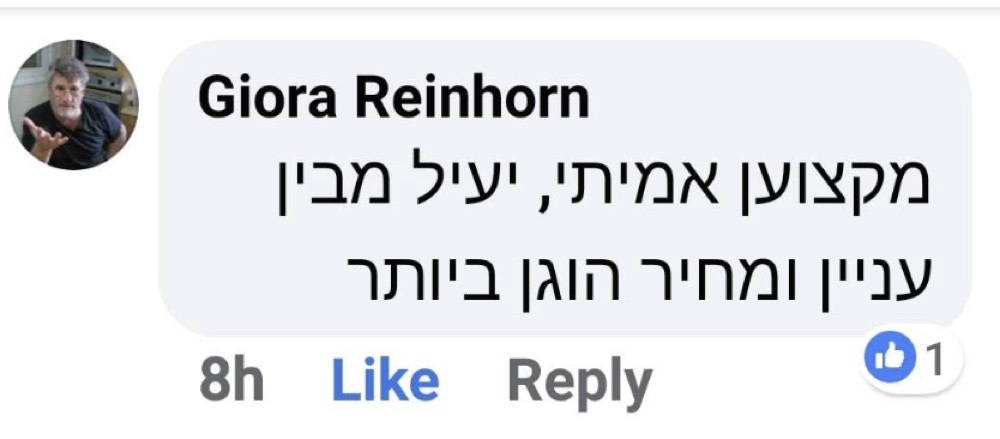 המלצה של גיורא ריינהורן על הובלות דודו
