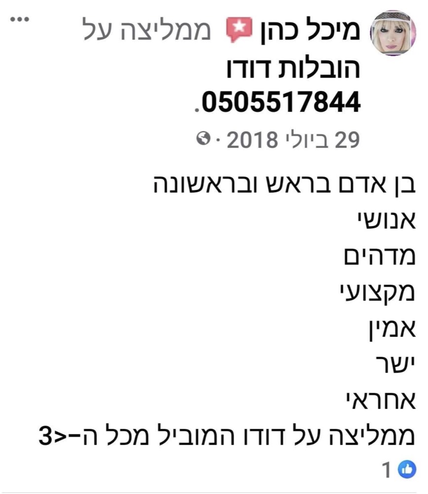 המלצה של מיכל כהן על הובלות דודו