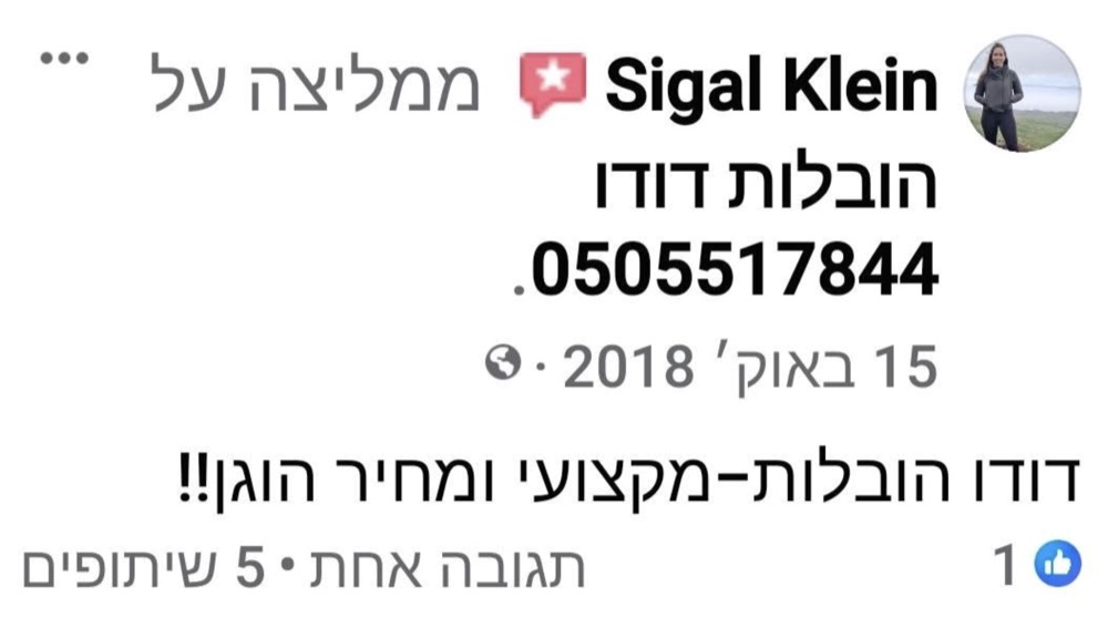המלצה של תומר הורן על הובלות דודו